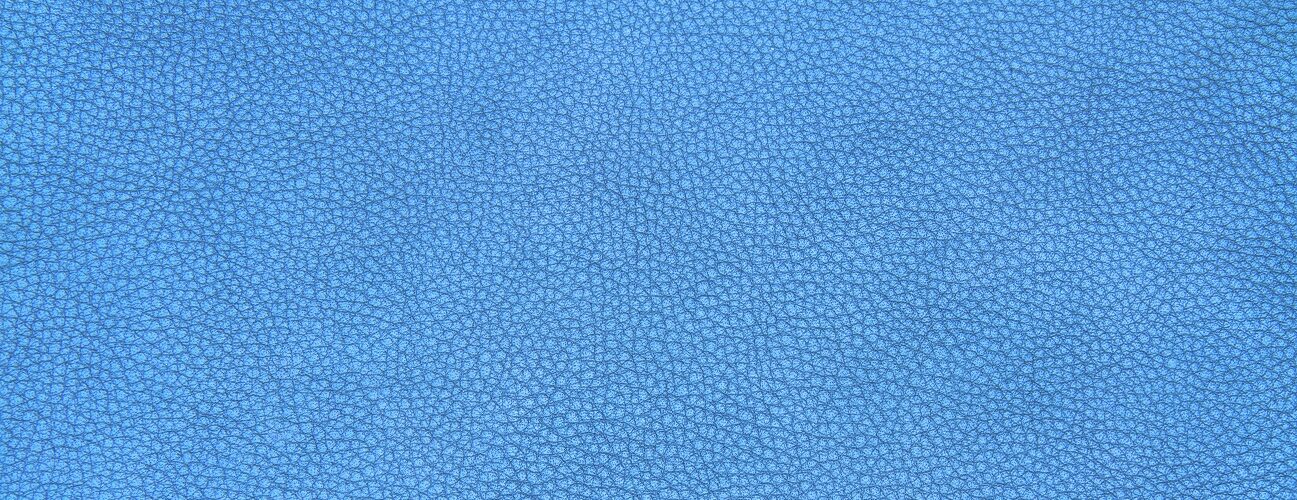 Genuine leather skin texture