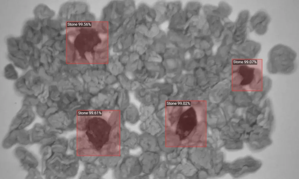 Stone contaminants in teal leaves - cover image